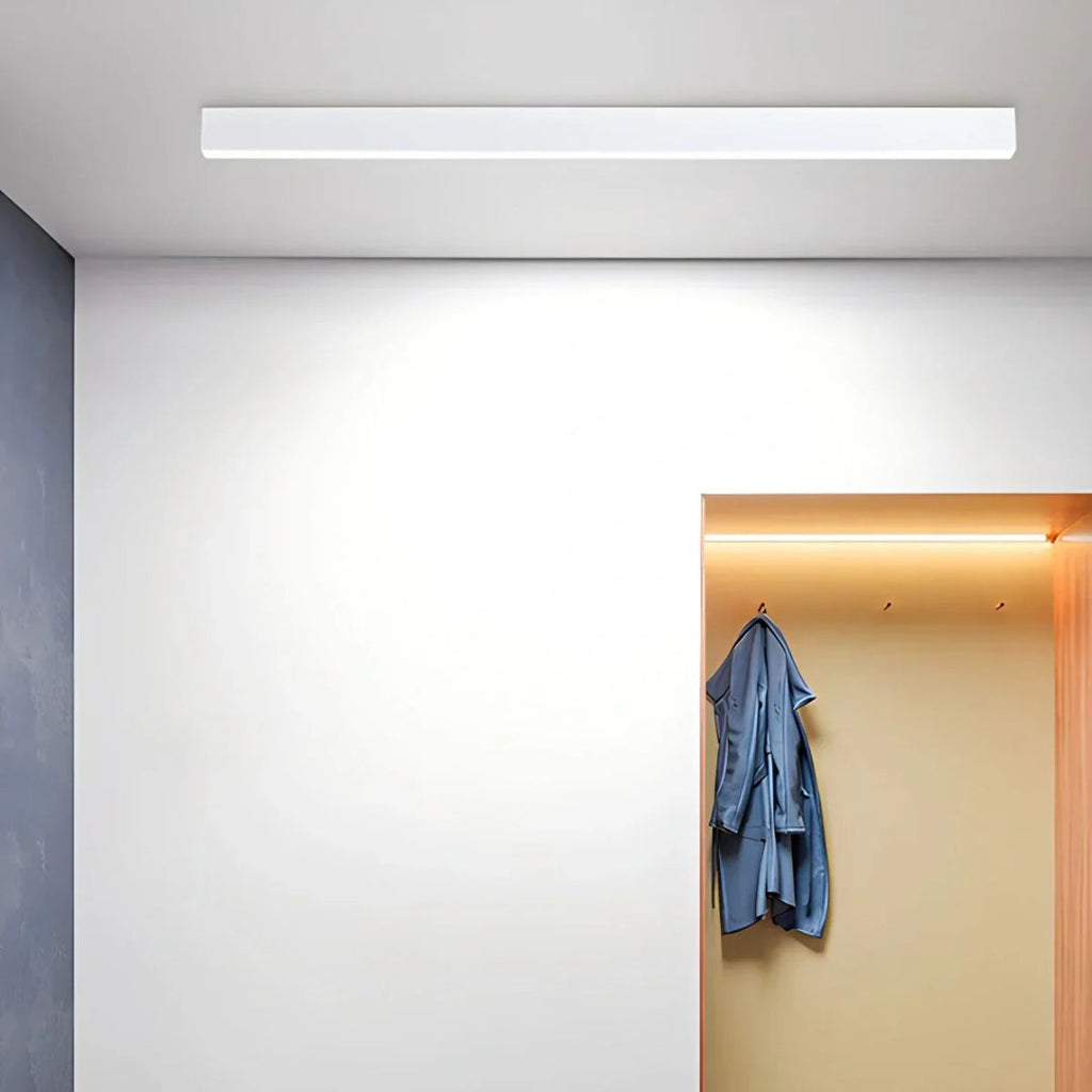 Minimalist LED Ceiling Light