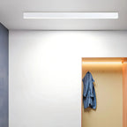 Minimalist LED Ceiling Light