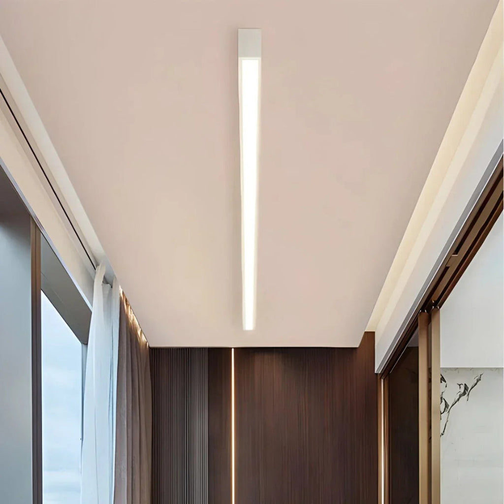 Minimalist LED Ceiling Light