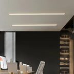 Minimalist LED Ceiling Light