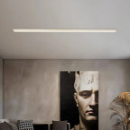Minimalist LED Ceiling Light