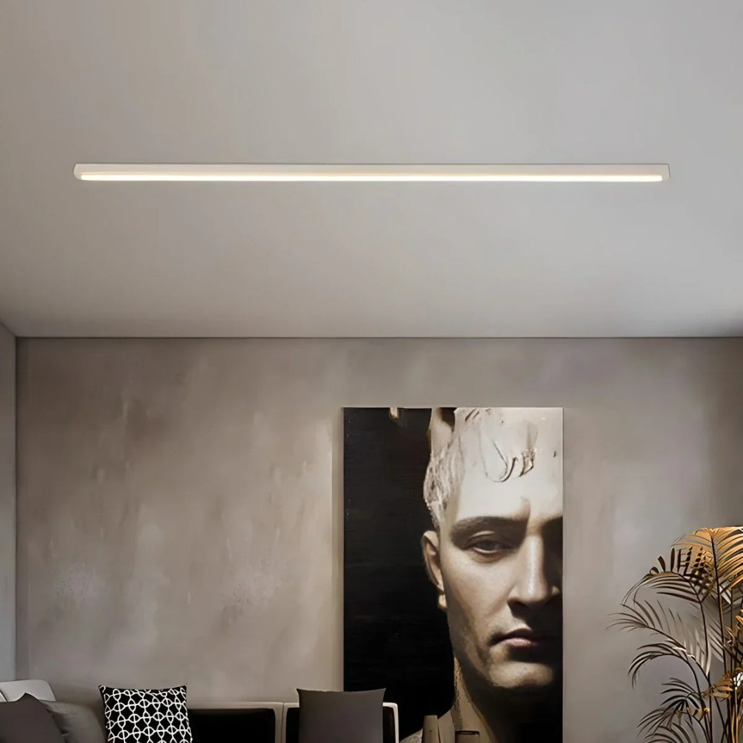 Minimalist LED Ceiling Light
