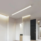 Minimalist LED Ceiling Light