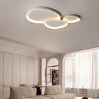 Minimalist Oval LED Ceiling Light