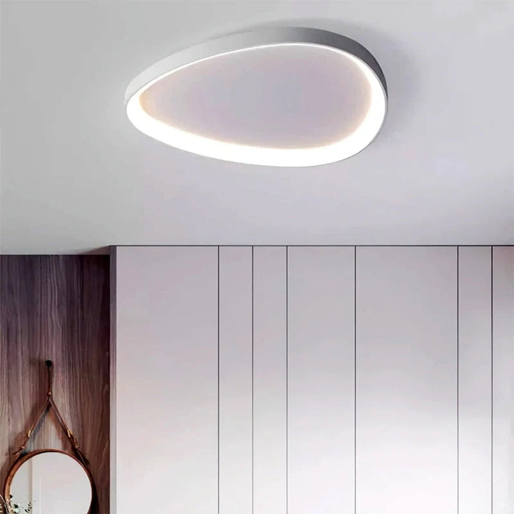 Minimalist Oval LED Ceiling Light