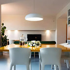 Contemporary Dome-Shaped Metal Pendant Light