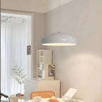 Contemporary Dome-Shaped Metal Pendant Light