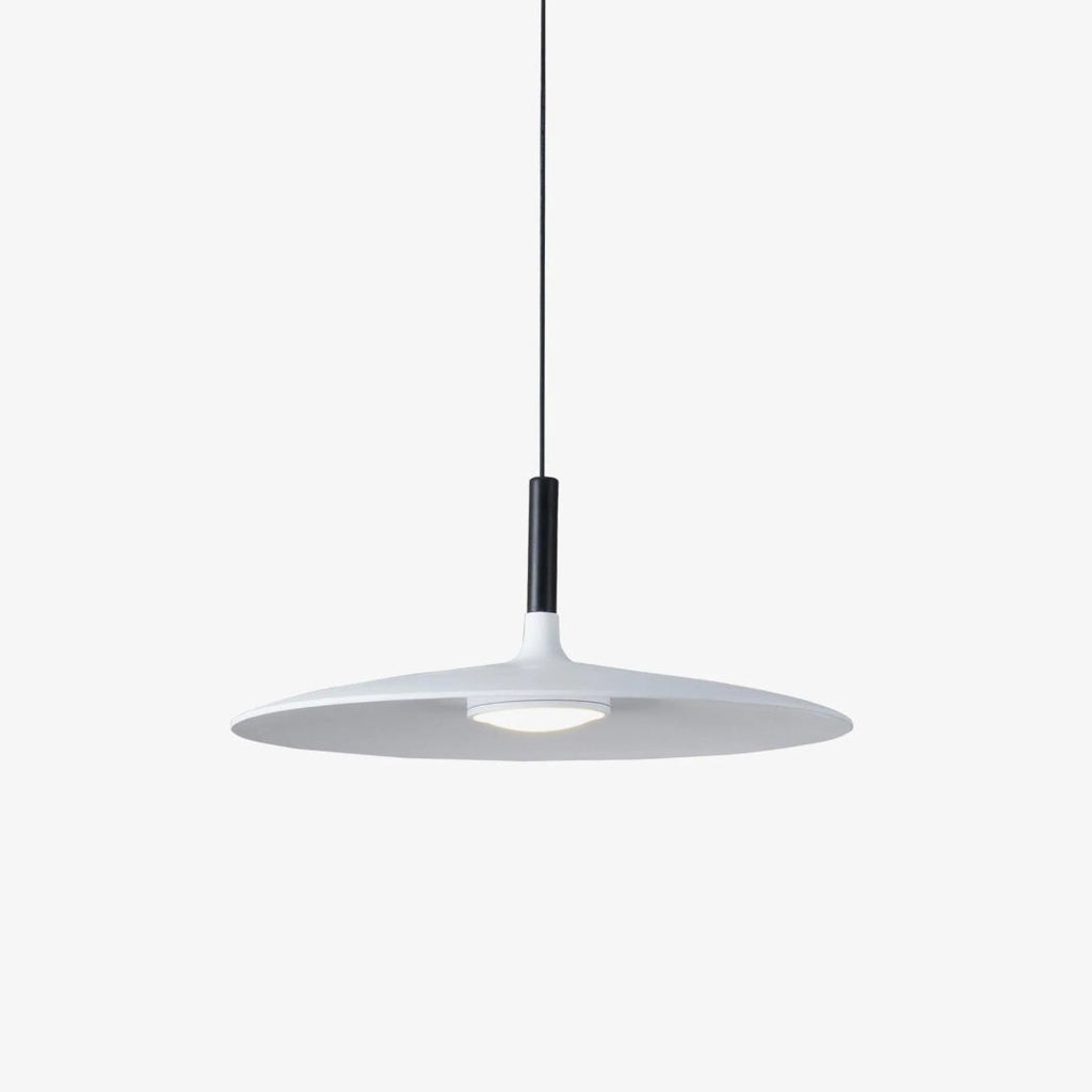 Modern Metal Pendant Light