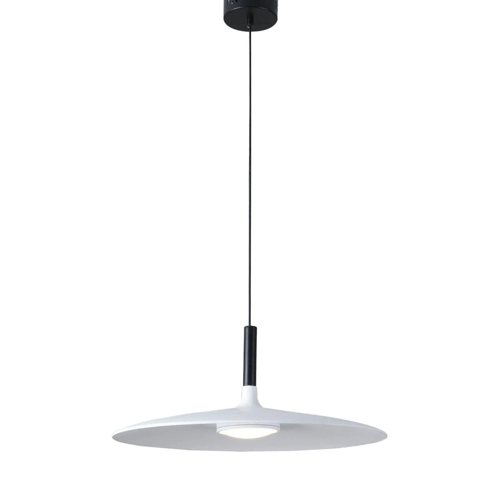 Modern Metal Pendant Light