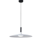 Modern Metal Pendant Light
