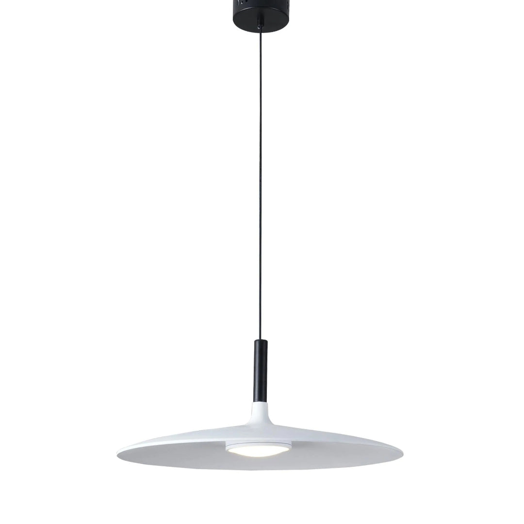 Modern Metal Pendant Light
