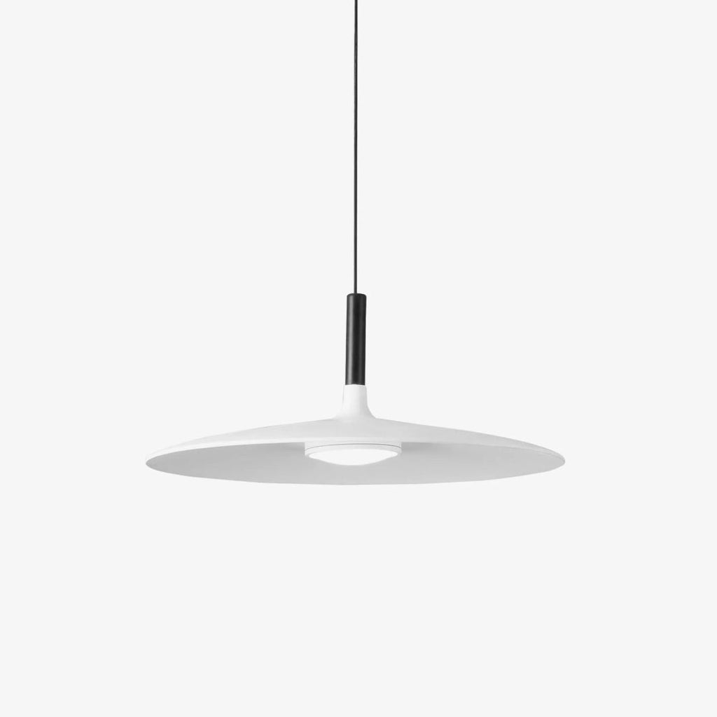 Modern Metal Pendant Light