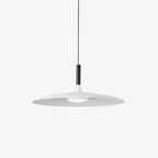 Modern Metal Pendant Light