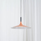 Modern Metal Pendant Light