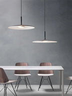Modern Metal Pendant Light