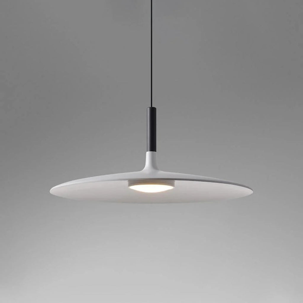 Modern Metal Pendant Light