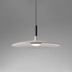 Modern Metal Pendant Light