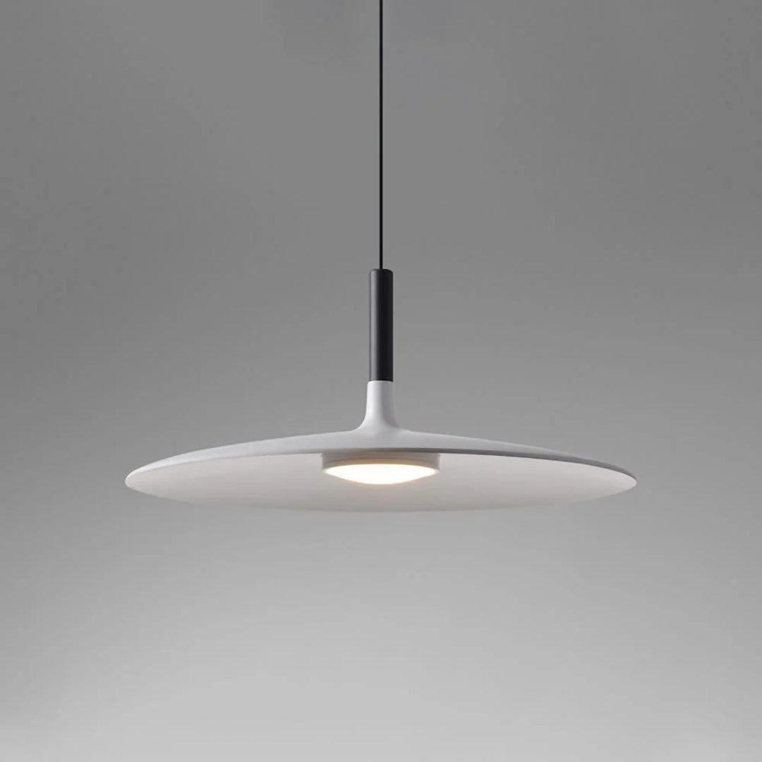 Modern Metal Pendant Light