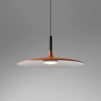 Modern Metal Pendant Light