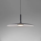 Modern Metal Pendant Light