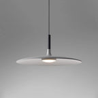 Modern Metal Pendant Light