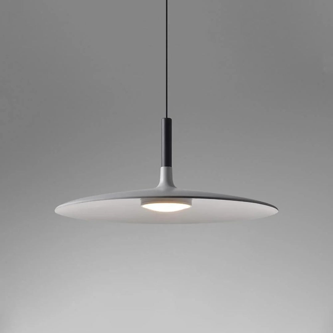 Modern Metal Pendant Light