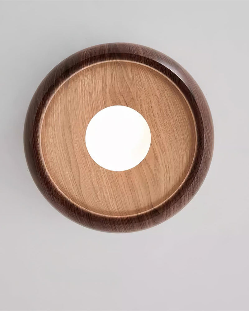 LED Ceiling Wall Light Metal and Glass | Modern Minimalist Style | Integrated 3000K Backlit Ambient Illumination