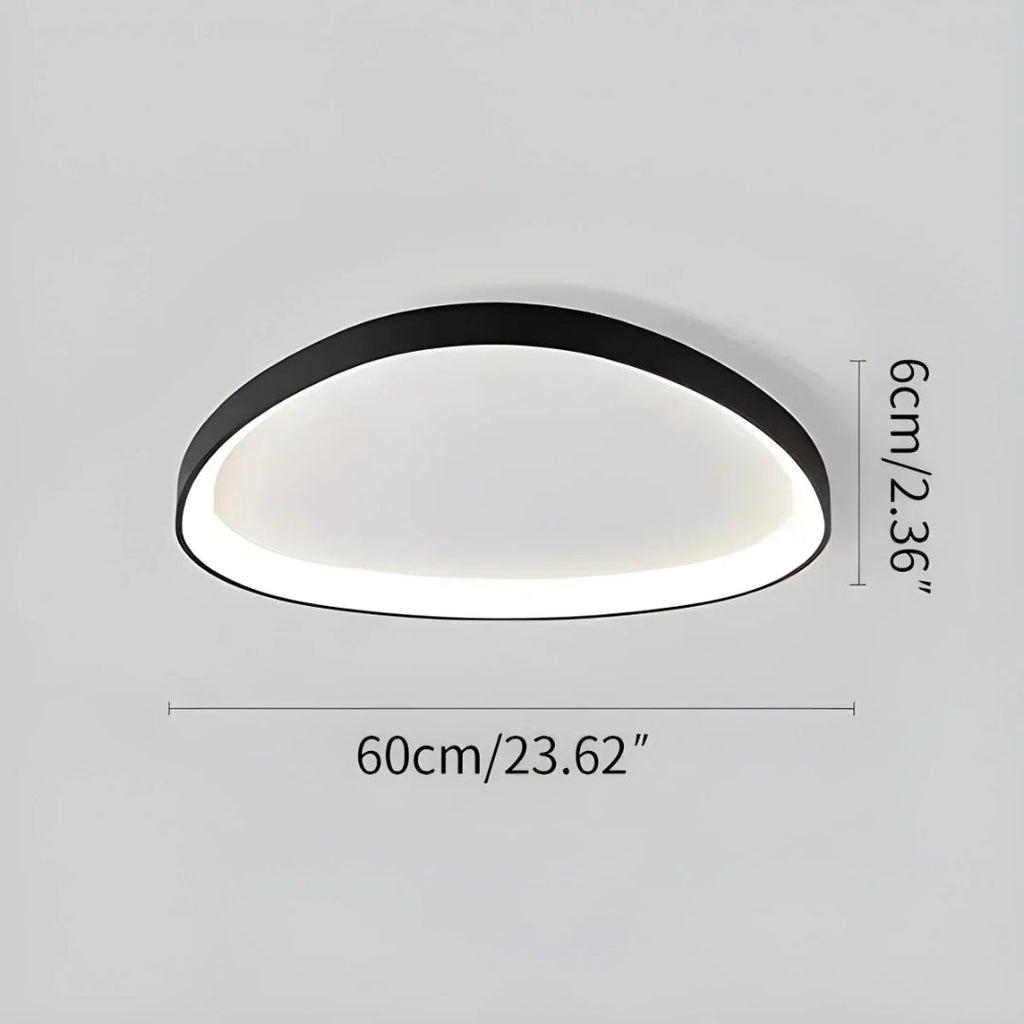 Minimalist Oval LED Ceiling Light