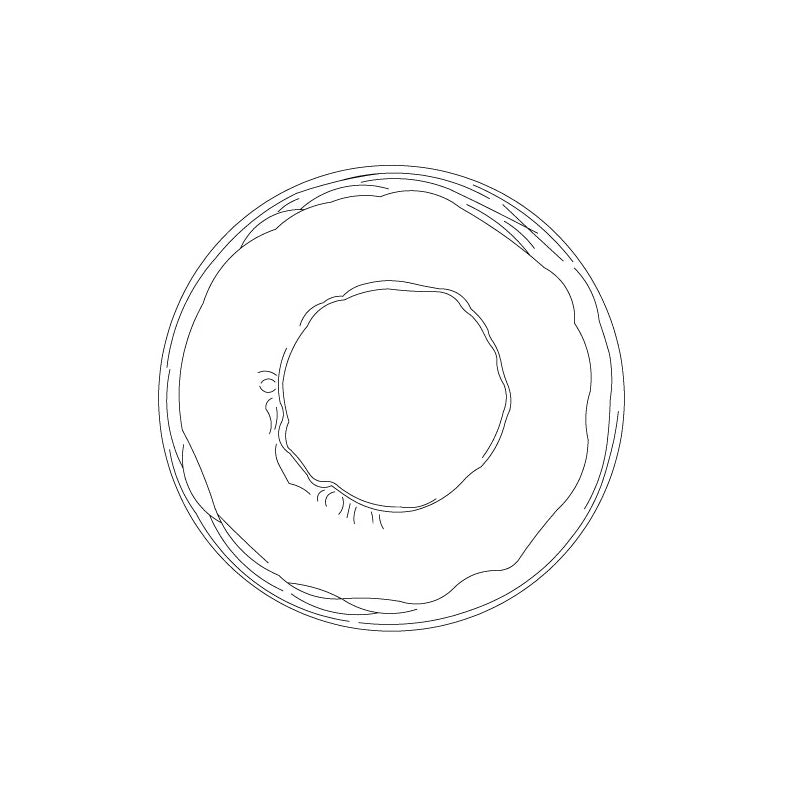 Nordic Glass Wall Light