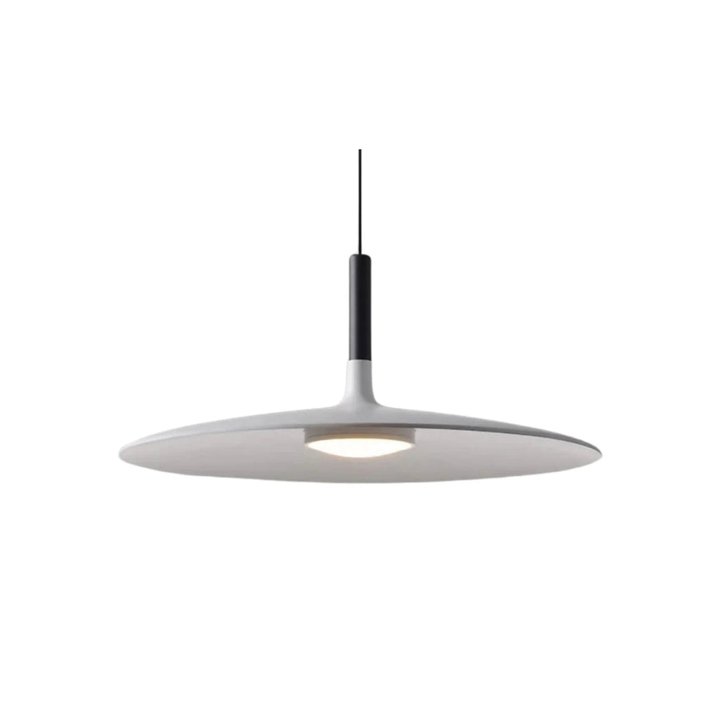 Modern Metal Pendant Light