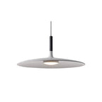 Modern Metal Pendant Light