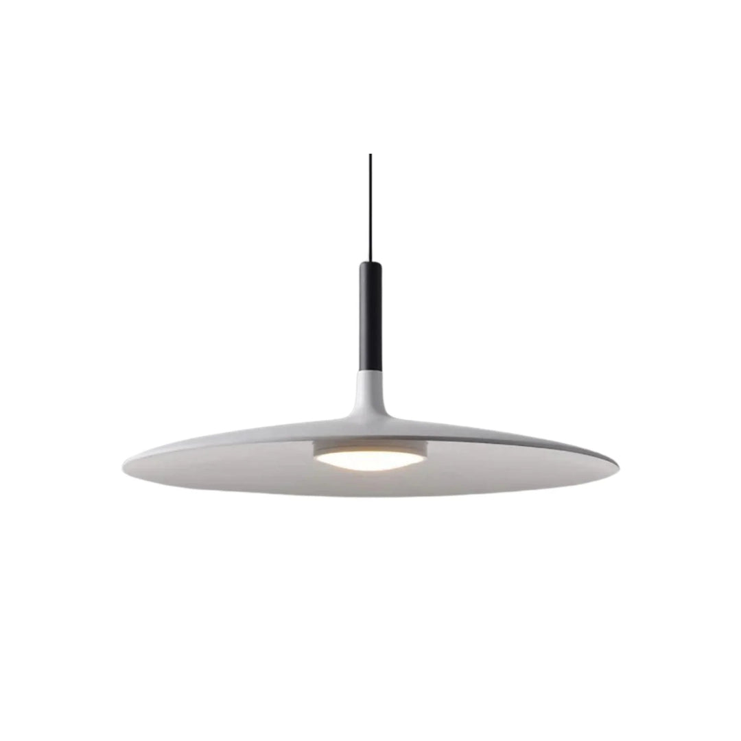 Modern Metal Pendant Light