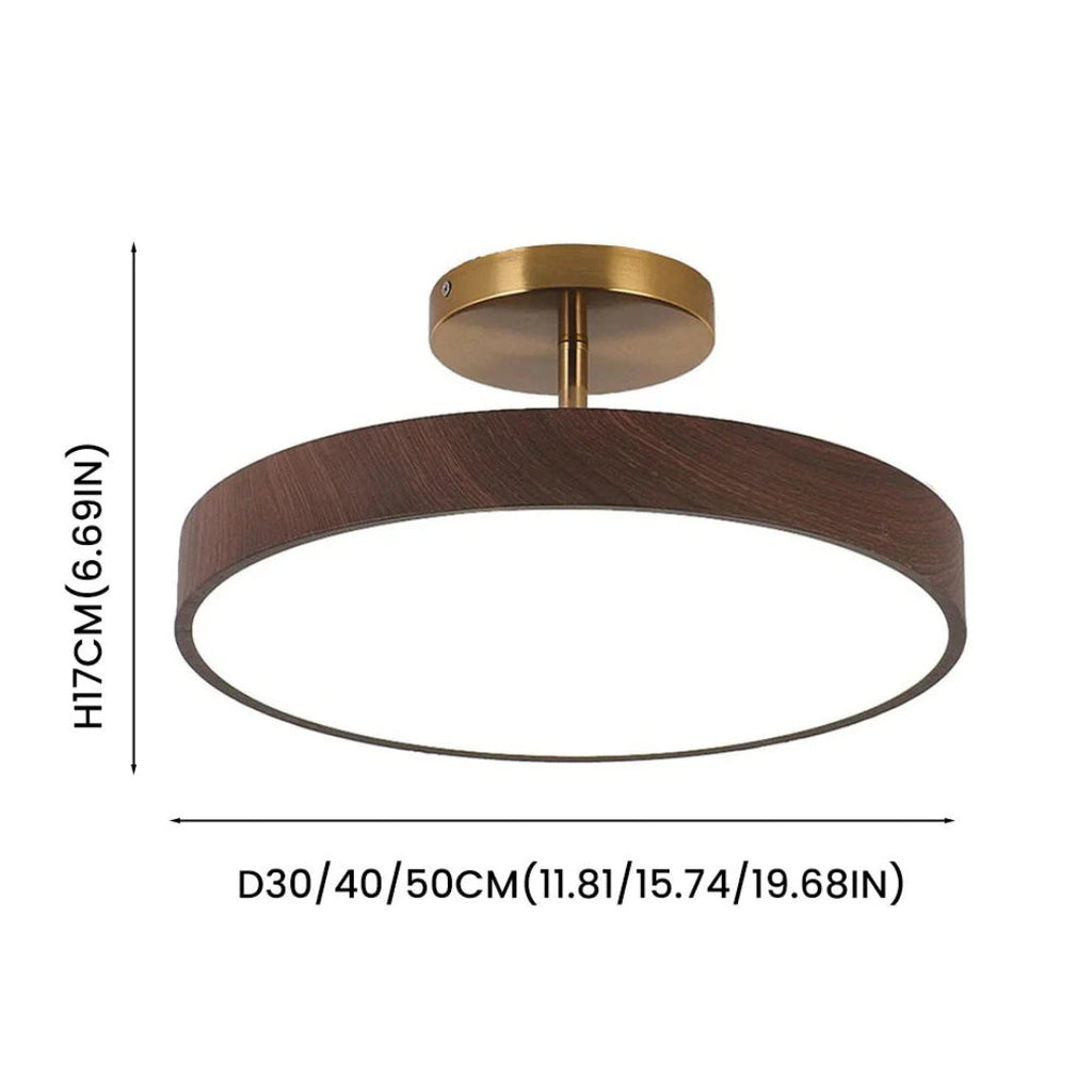 Contemporary Round Ceiling Light