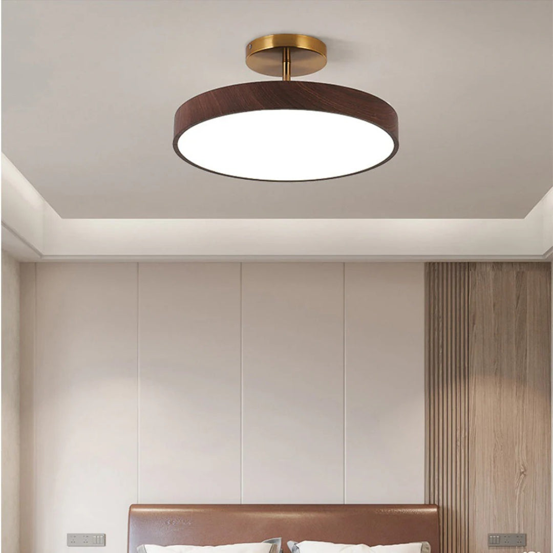 Contemporary Round Ceiling Light