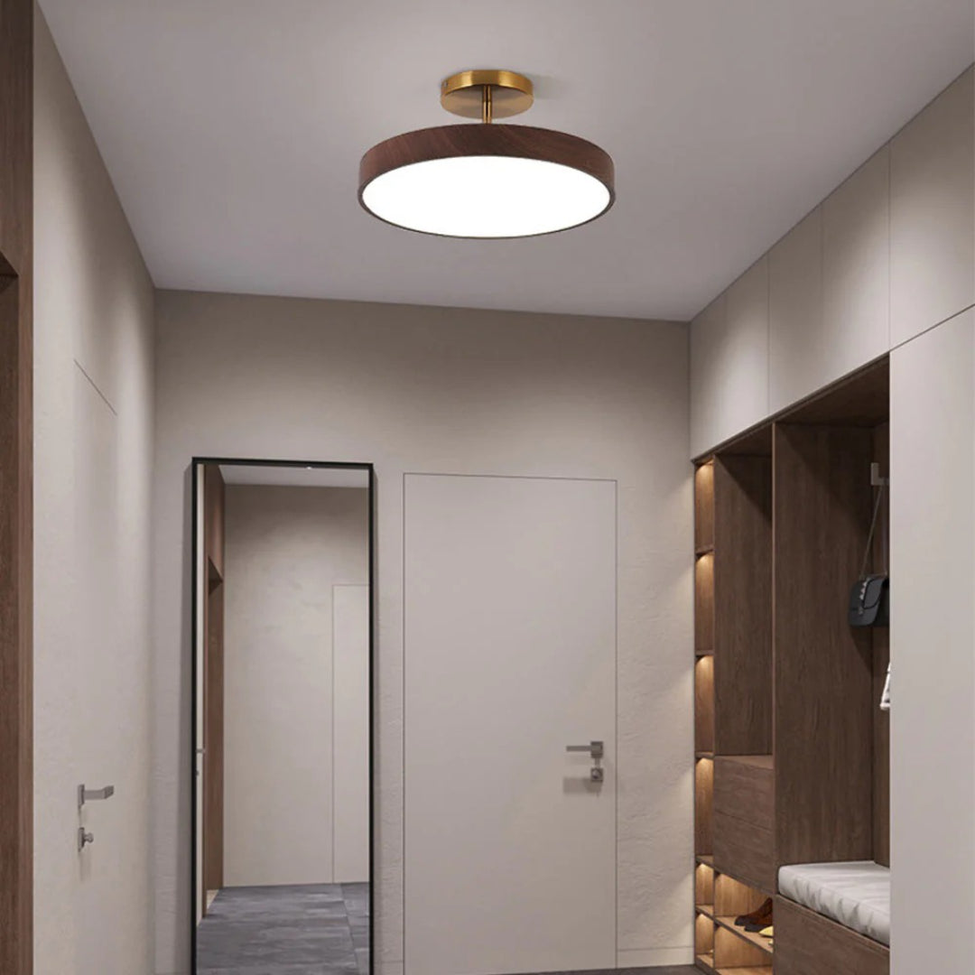 Contemporary Round Ceiling Light