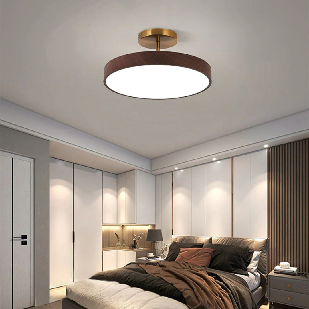 Contemporary Round Ceiling Light
