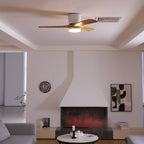 Ceiling Fan with Light Sycamore Wood Blades | Silent 6-Speed DC Motor | Flush Mount Nordic Design for Home Interiors