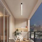 Minimalist LED Ceiling Light