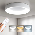 Minimalist Round Acrylic Ceiling Light