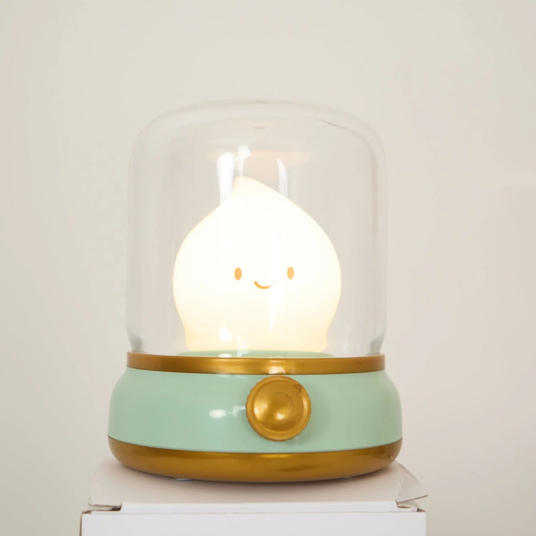 Decorative LED Table Lamp