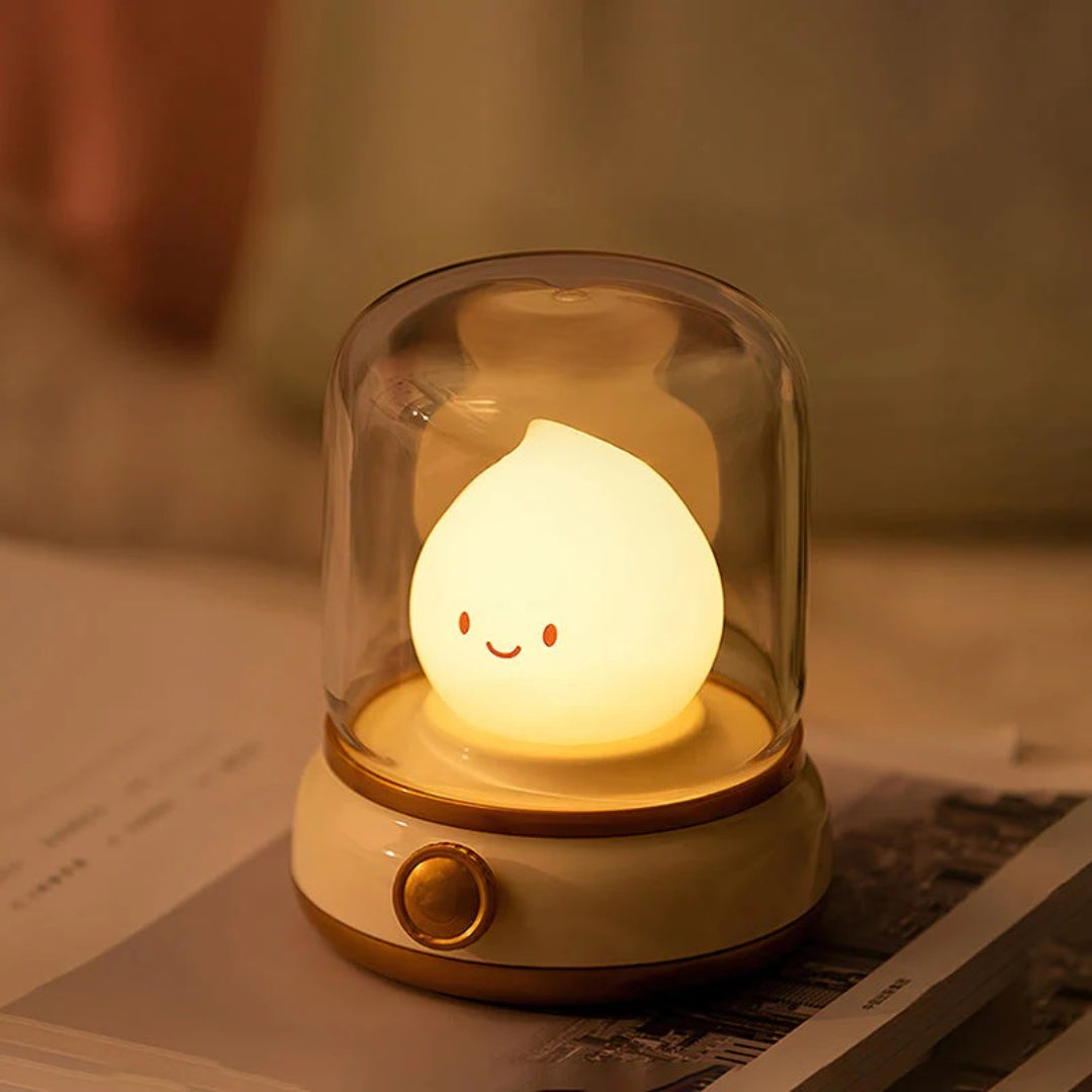 Decorative LED Table Lamp