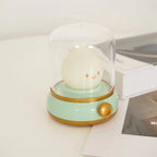 Decorative LED Table Lamp