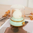 Decorative LED Table Lamp