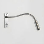 Adjustable Gooseneck Wall Lamp