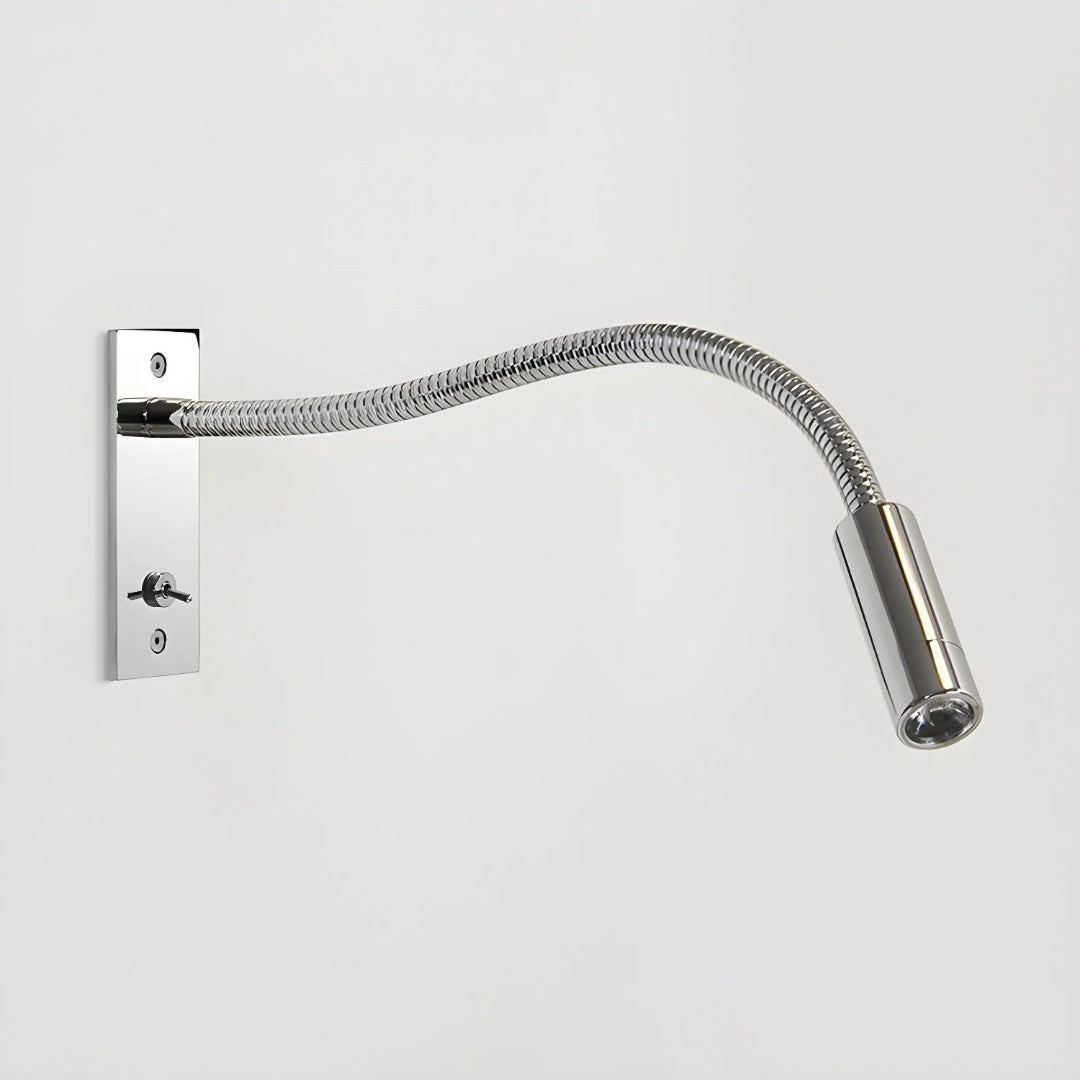 Adjustable Gooseneck Wall Lamp