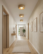 LED Ceiling Wall Light Metal and Glass | Modern Minimalist Style | Integrated 3000K Backlit Ambient Illumination