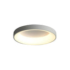 Minimalist Round Acrylic Ceiling Light
