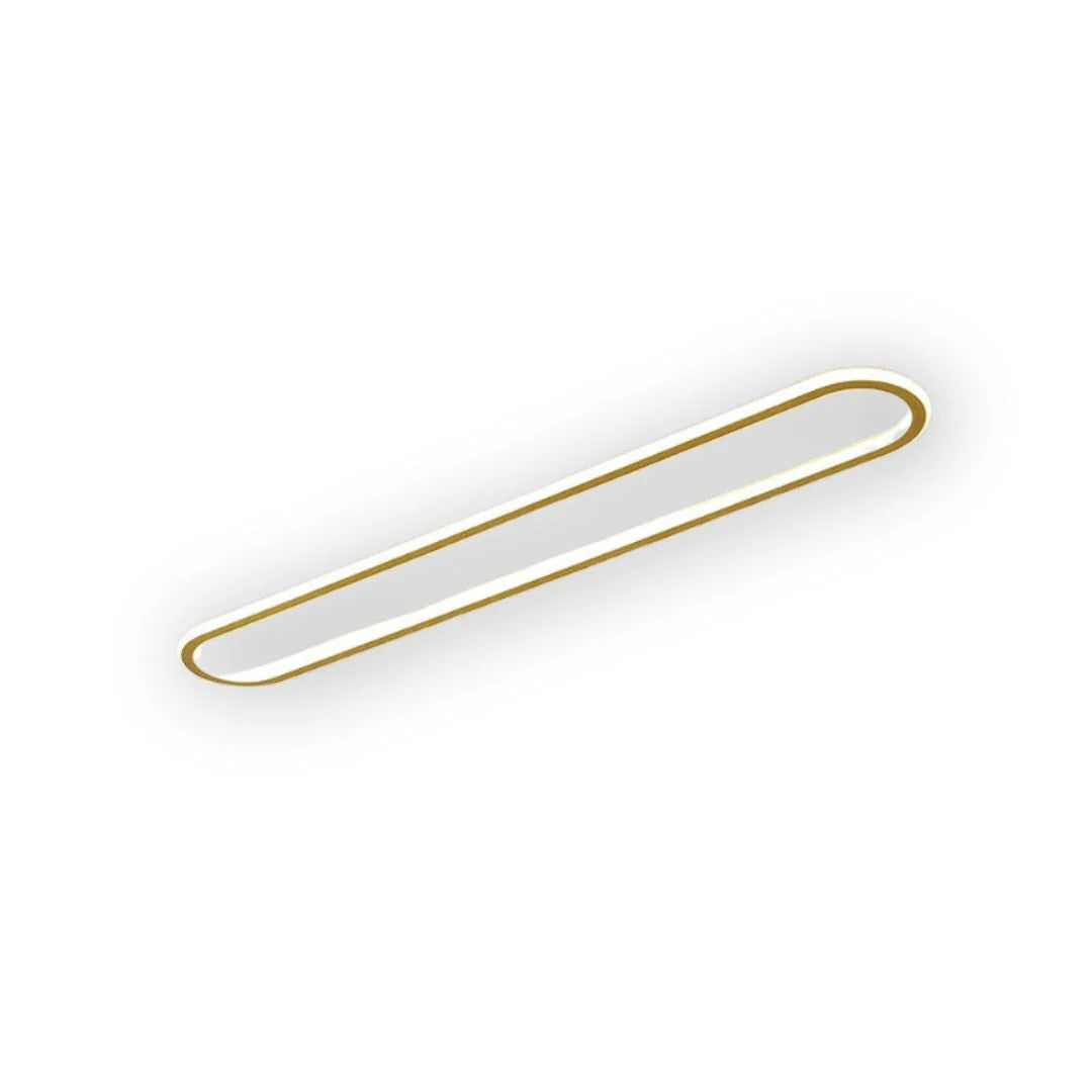 Modern Oval LED Ceiling Light