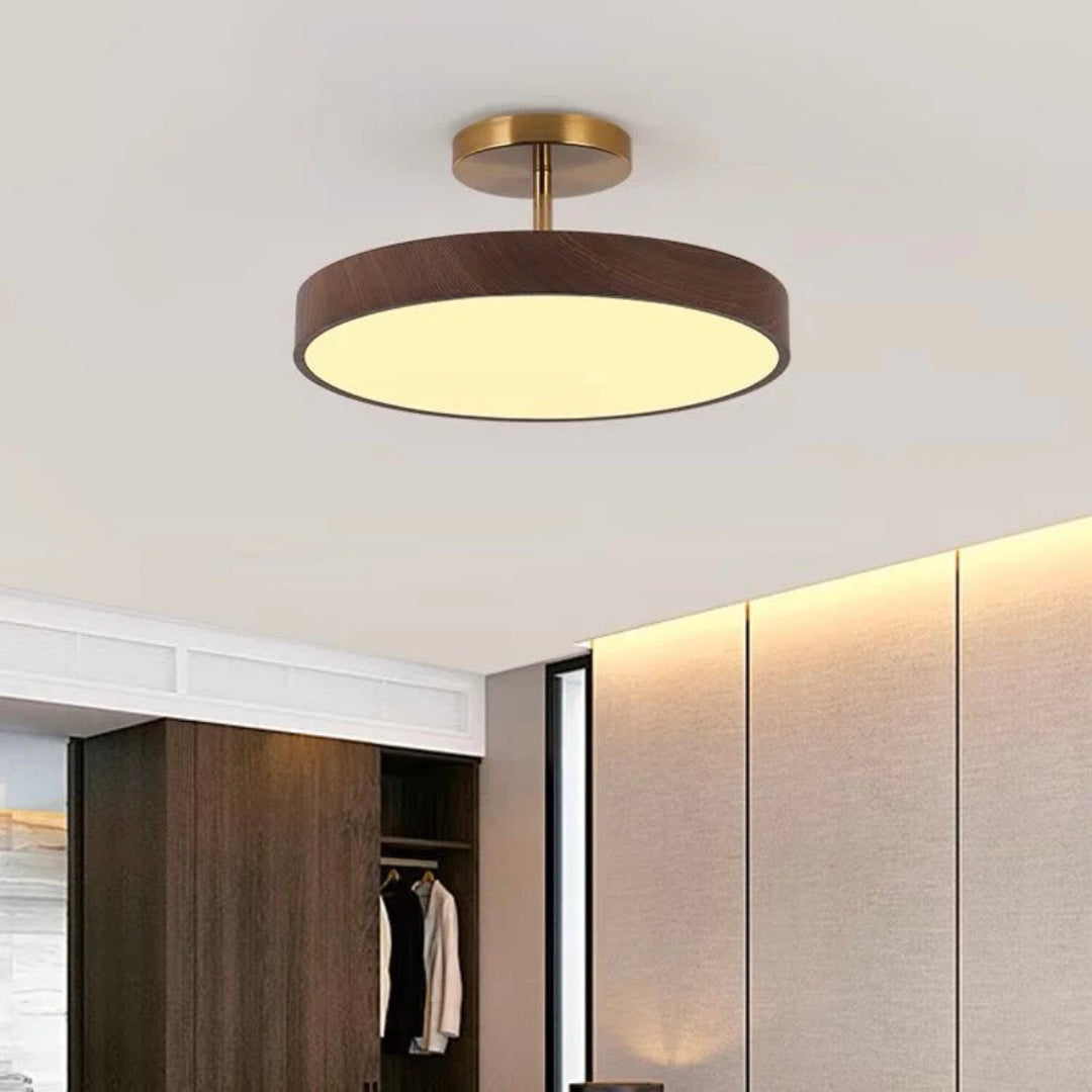 Contemporary Round Ceiling Light