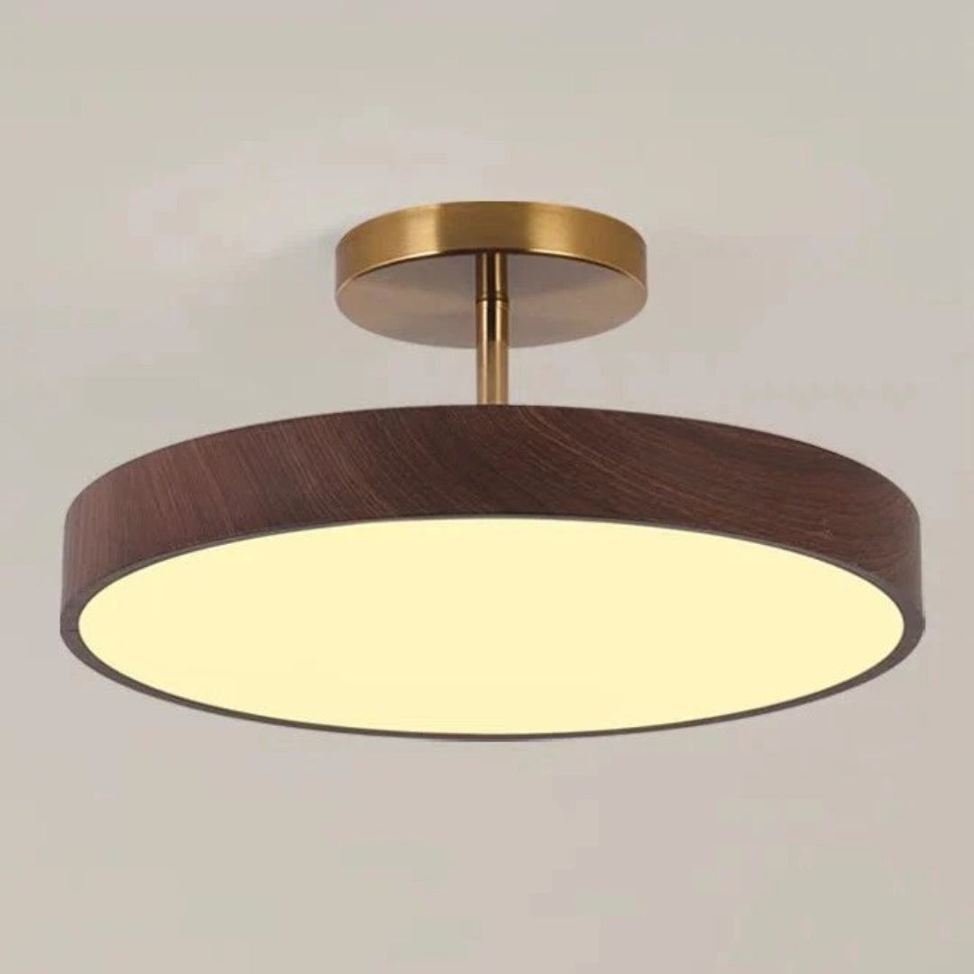 Contemporary Round Ceiling Light